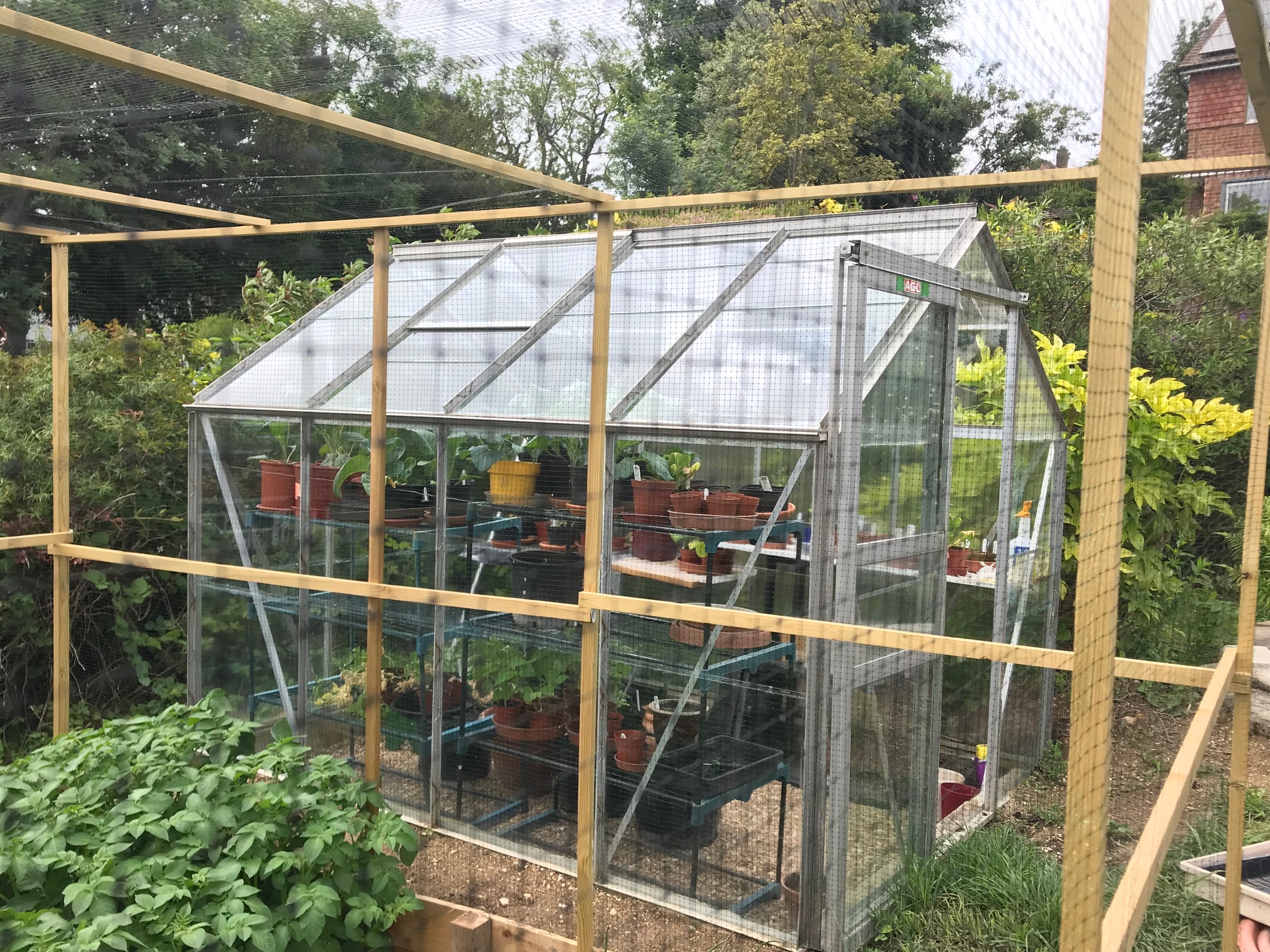 Greenhouse Transformation