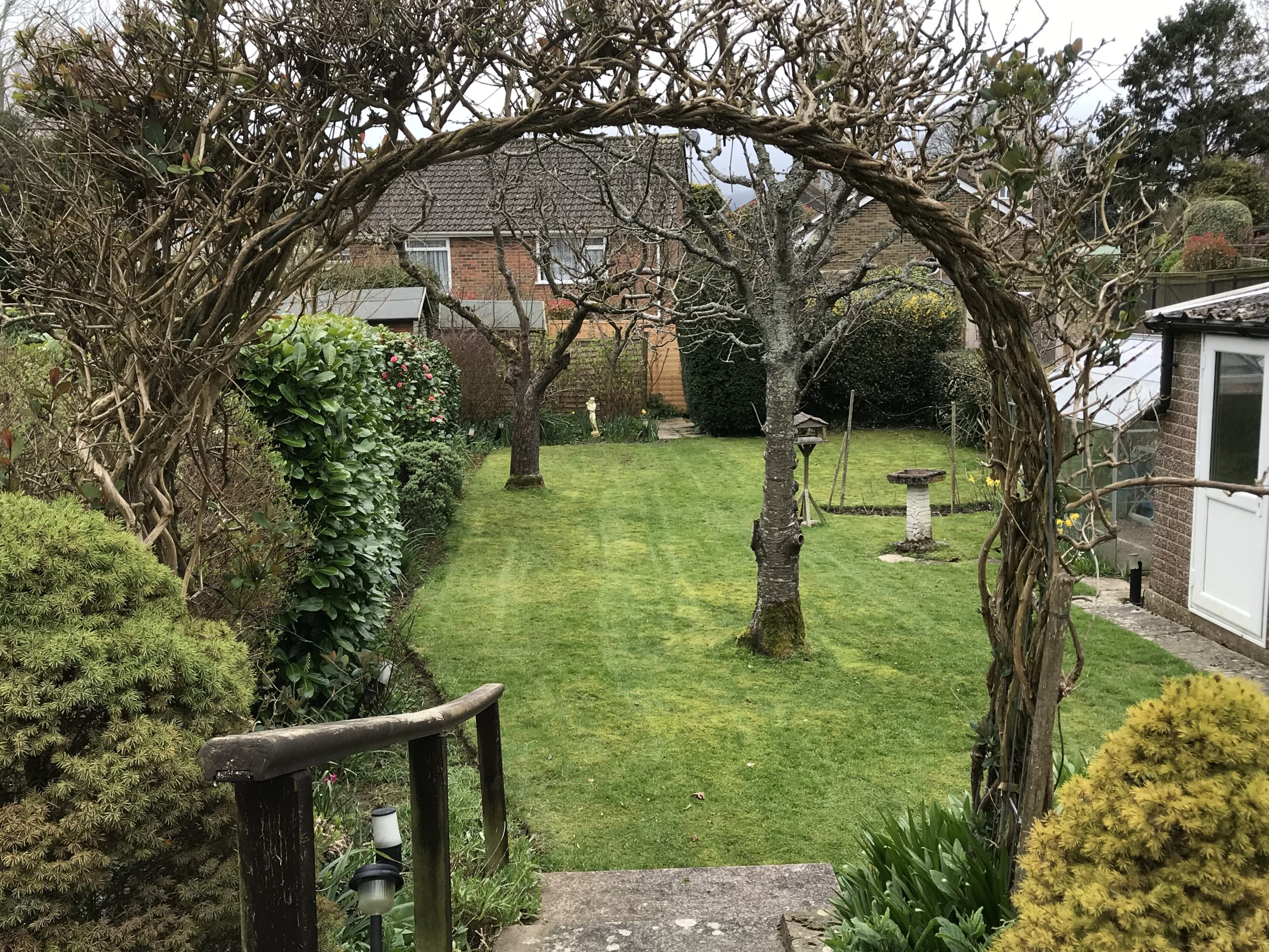 Tree Pruning & Maintained Garden