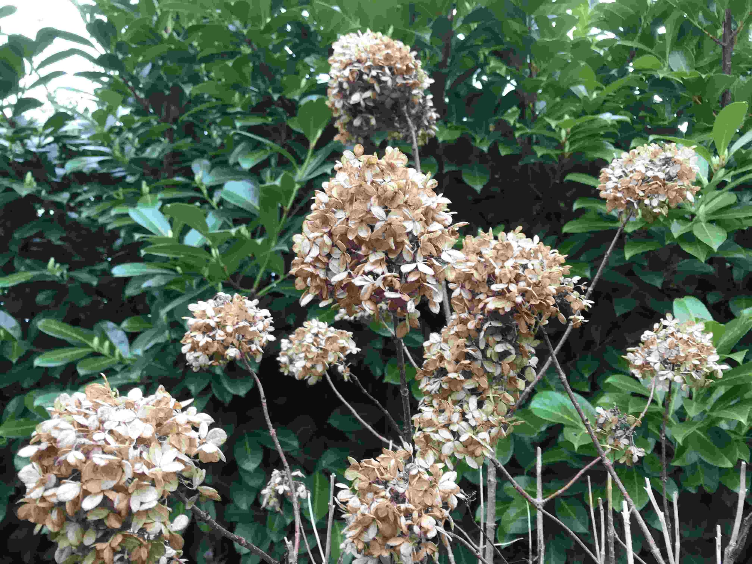 Seasonal Jobs Blog