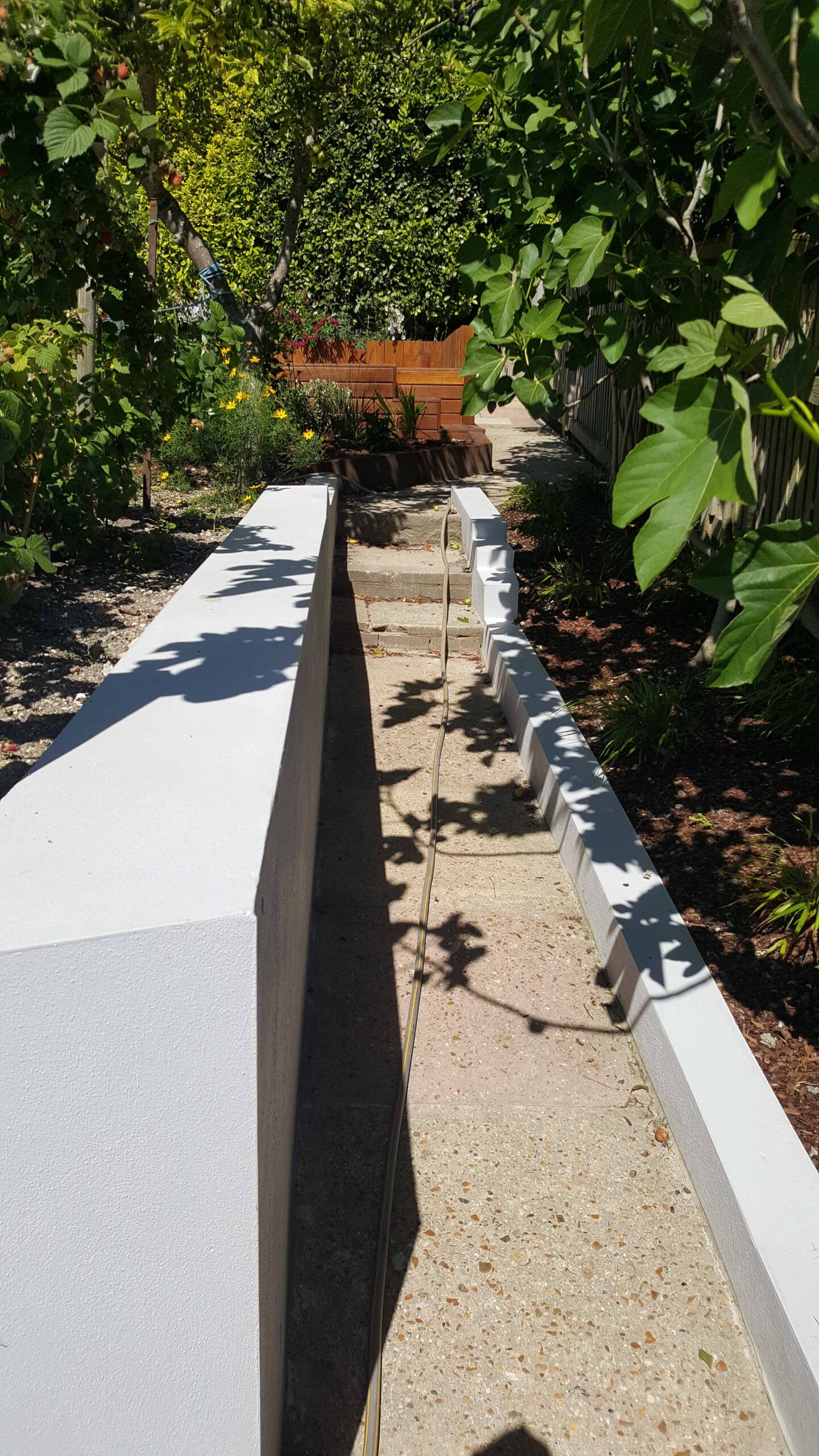 New Pathway