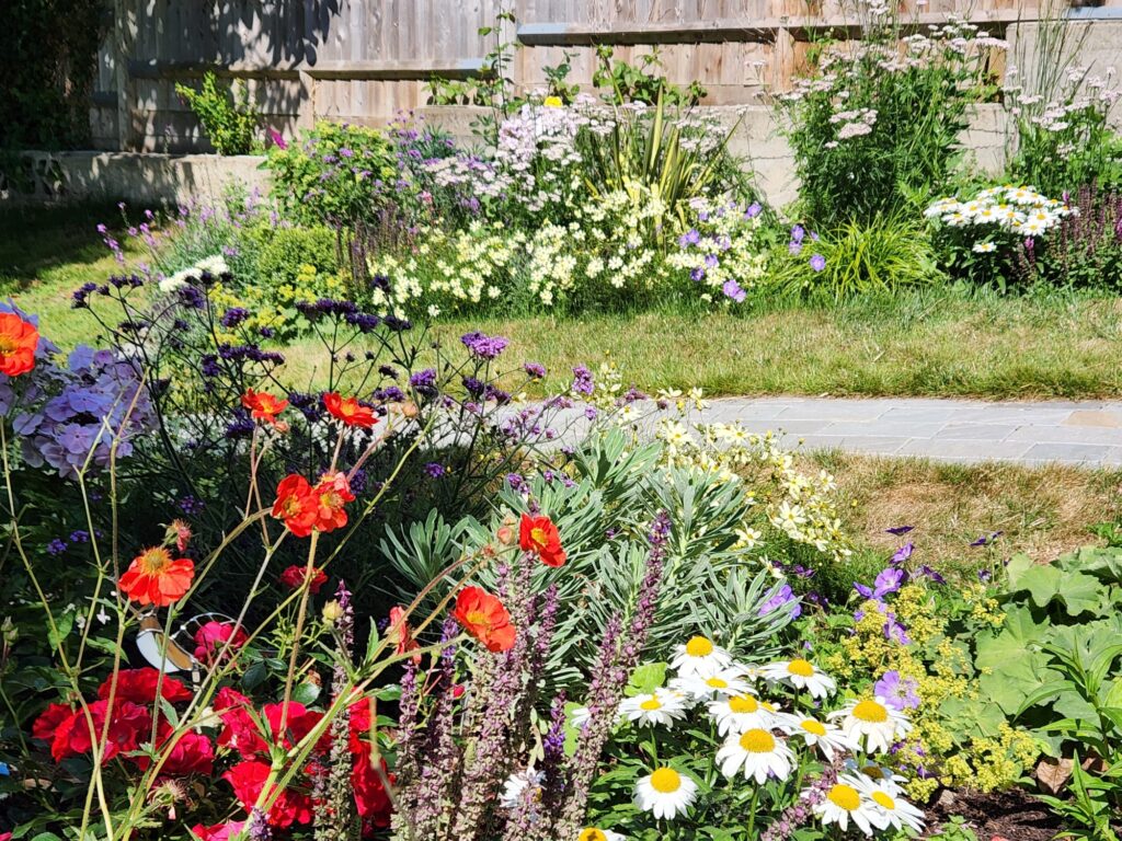 Contemporary Cottage style - Planting