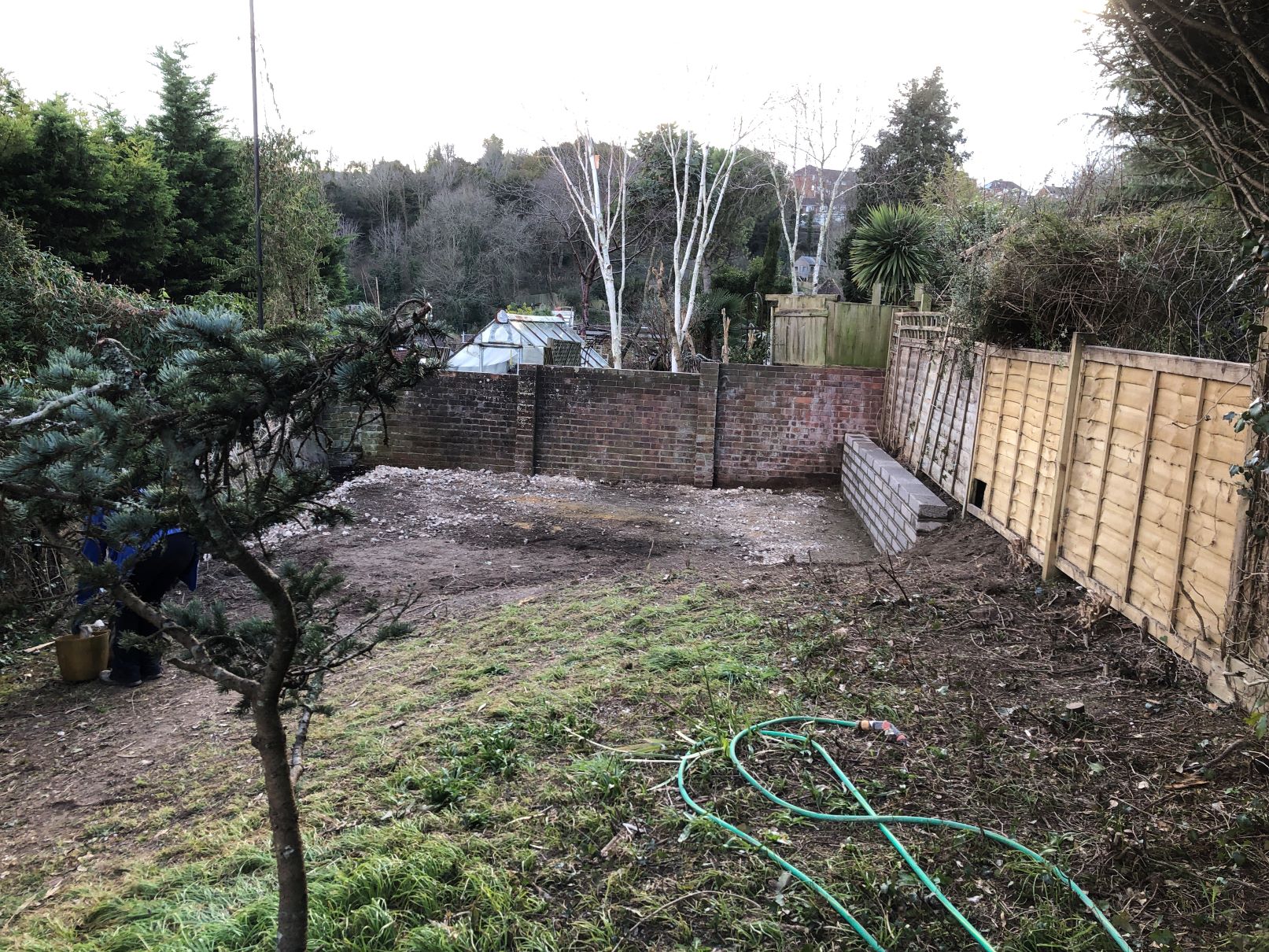Build 198 – Transformation Over Time