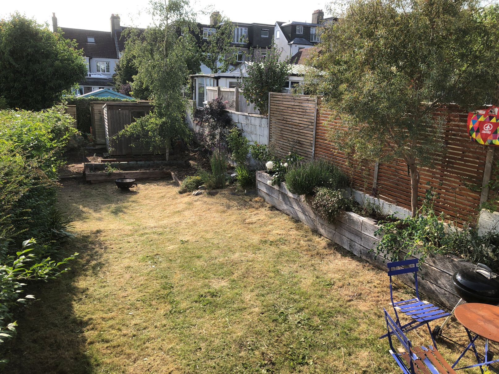 Build 205 – Initial Clearance & Fence
