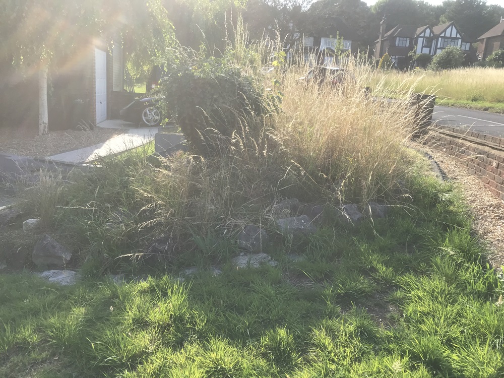 Rockery Hiding an Air Raid Shelter